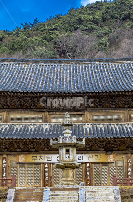 화엄사,각황전,장육전,국보,문화유산,석등,문화재,사찰,관광지,전통건축물,기와지붕,건축물,신전,지붕,roof