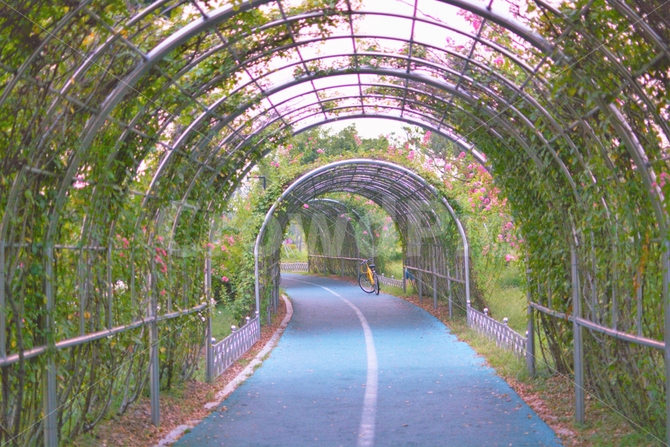 	감성사진,공원,데이트,산책,꽃길,식물,자연,공원길,봄,park,date,walk,flowers,plants,nature,spring,자연,풍경,nature,landscape,봄,계절,spring,season,outdoors,옥외,garden,정원,arbour,정자,porch,현관