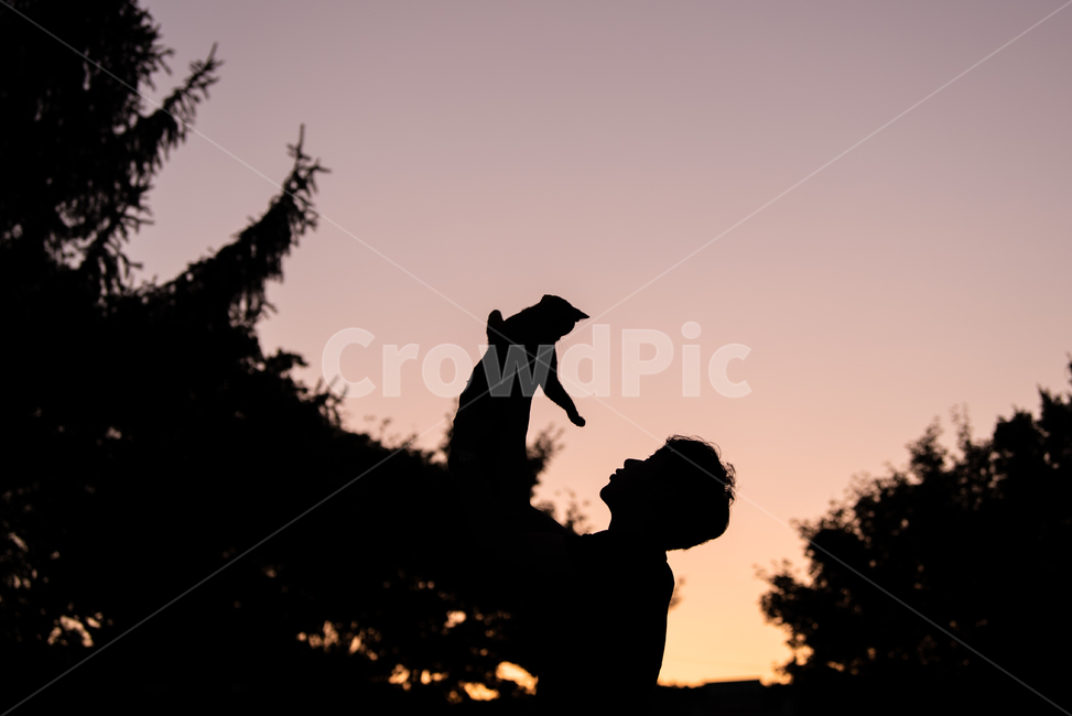 고양이,감성,실루엣,역광,집사,반려동물,동물,animal,포유류,mammal,고양이,cat,kitten,kitty,사람,인물,인간,human,person,남성,남자,man,male,인물실루엣,사람실루엣,character silhouette,human silhouette,silhouette
