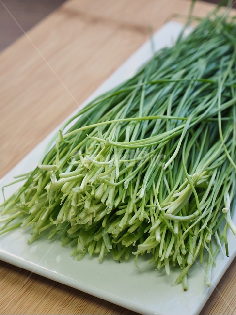 부추,유기농,유기농부추,채소,야채,음식,음식재료,녹색,chives,organic,organicleek,vegetable,food,foodingredients,green,음식,식재료,요리,food,cook,meal,dishes,food reserves,채소,야채,vegetables