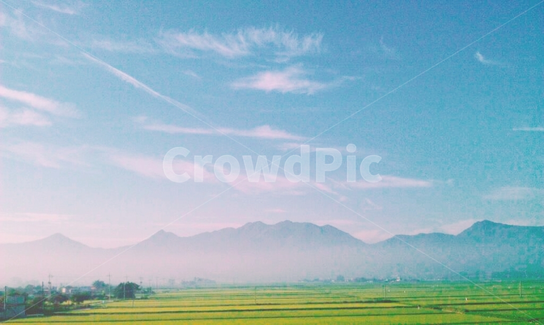 nature,자연,field,들,들판,outdoors,야외,grassland,목초지,countryside,시골,배경,하늘,sky