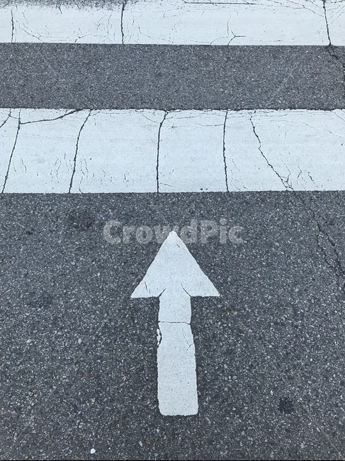 횡단보도,도보,도로,일상,산책,가로수,나무,아파트,도시,차도,화살표,특수문자