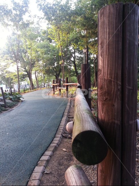 공원,나무,자연,산책,풍경,자연,풍경,nature,landscape