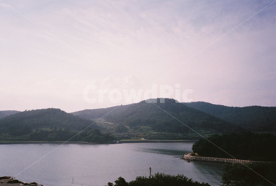 필름,필름사진,film,바다,sea,자연,nature,섬,island,나무