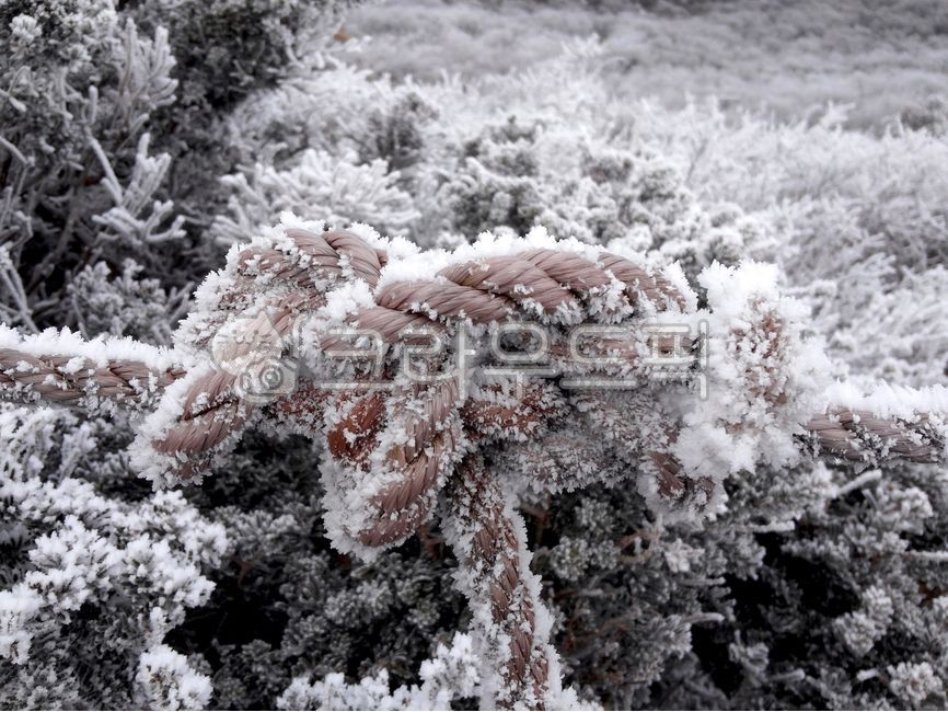 Snowflake,rope,snow,snowstorm,snow scene,snow mountain,heavy snow,snow,winter,snowflake,tether