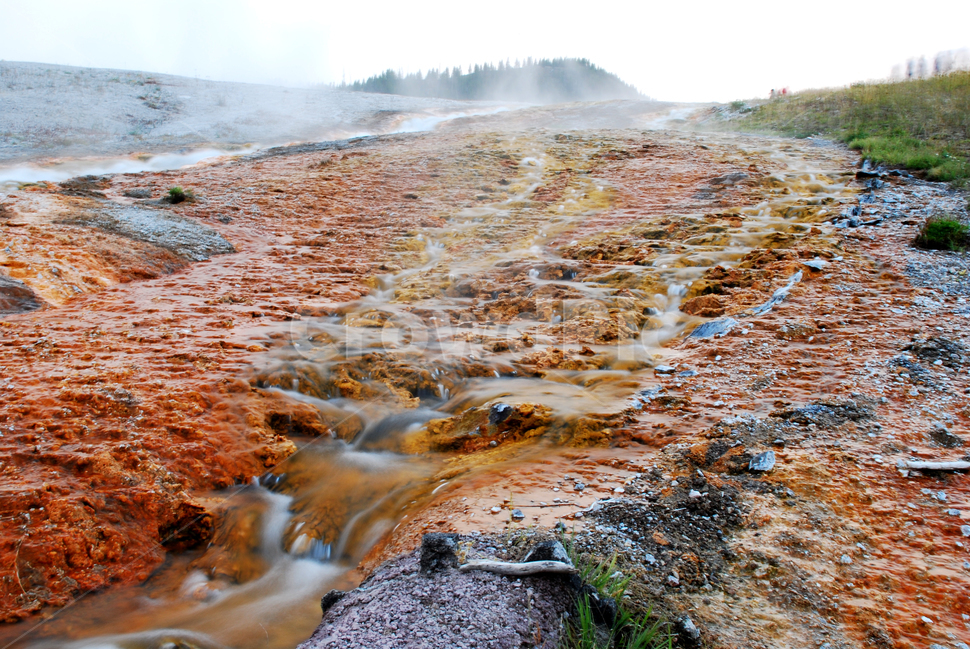 yellowstonenationalpark,옐로스톤국립공원,옐로스톤,geyser,간헐천,미국국립공원,풍경,자연,풍경,nature,landscape,해외,외국,세계,foreign,oversea,world,세계자연풍경,해외자연풍경,외국자연풍경,world nature landscape,water,물,outdoors,옥외