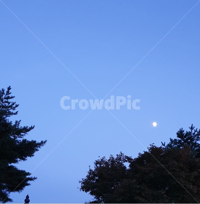달,하늘,초저녁,moon,earlyevening