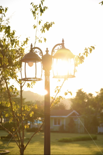 가로등,노을,석양,태양,집,풀밭,풍경,streetlight,sunset,sun,house,grassfield,grass,landscape,식물,자연,plants,nature,나무,trees,wood,휴식,힐링,rest,relaxation,healing