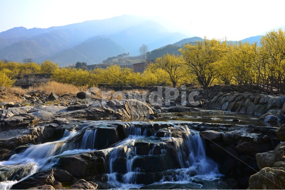 전남,구례,산동,산수유마을,산동산수유마을,산수유,산수유꽃,반영,mountainrange,산맥,mountain,산,nature,자연,water,물,outdoors,옥외,waterfall,폭포,자연,풍경,nature,landscape