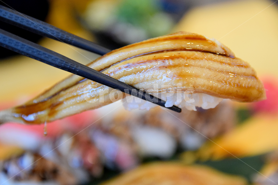 장어,장어초밥,초밥,회,생선회,생선쪽,일식,일본음식,음식,식사,해산물,meal,food,seafood,음식,식재료,요리,food,cook,meal,dishes,food reserves,수산물,해산물,fishery products,seafood,일식,일본음식,일본요리,Japanese food,Japanese dishes,Japanese meal,Japanese cook
