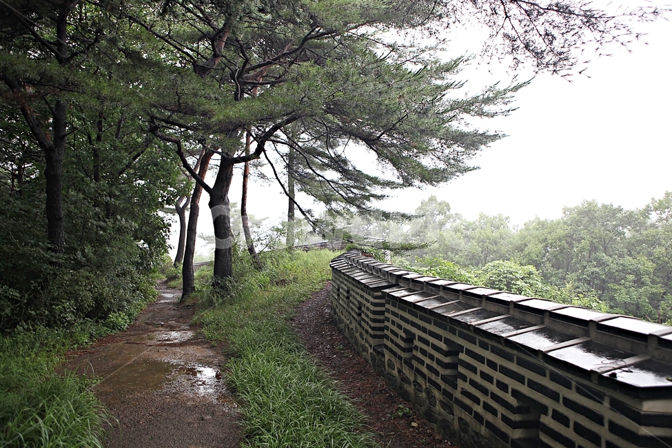 남한산성,성,성곽,숲,숲길,길,둘레길,안개,돌담,담,벽,여름,풍경