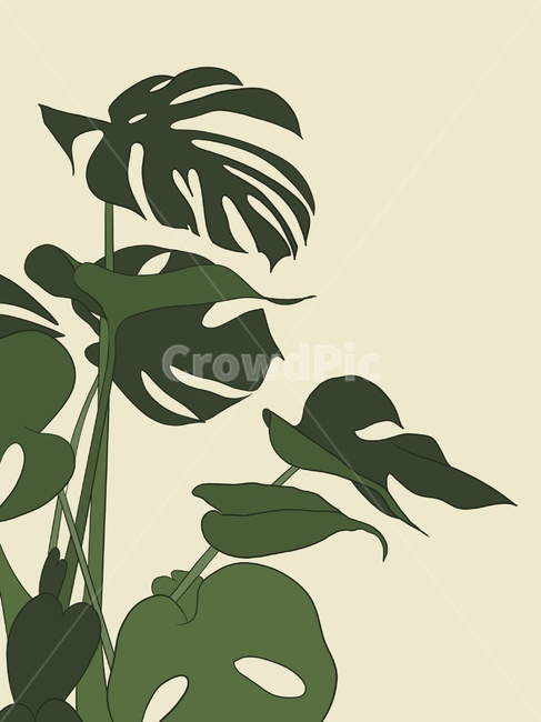 몬스테라,일러스트,나무일러스트,식물일러스트,잎일러스트,열대식물,tropical,garden,트로피칼,배경,트로피컬,그래픽,일러스트레이션,graphic,illustration