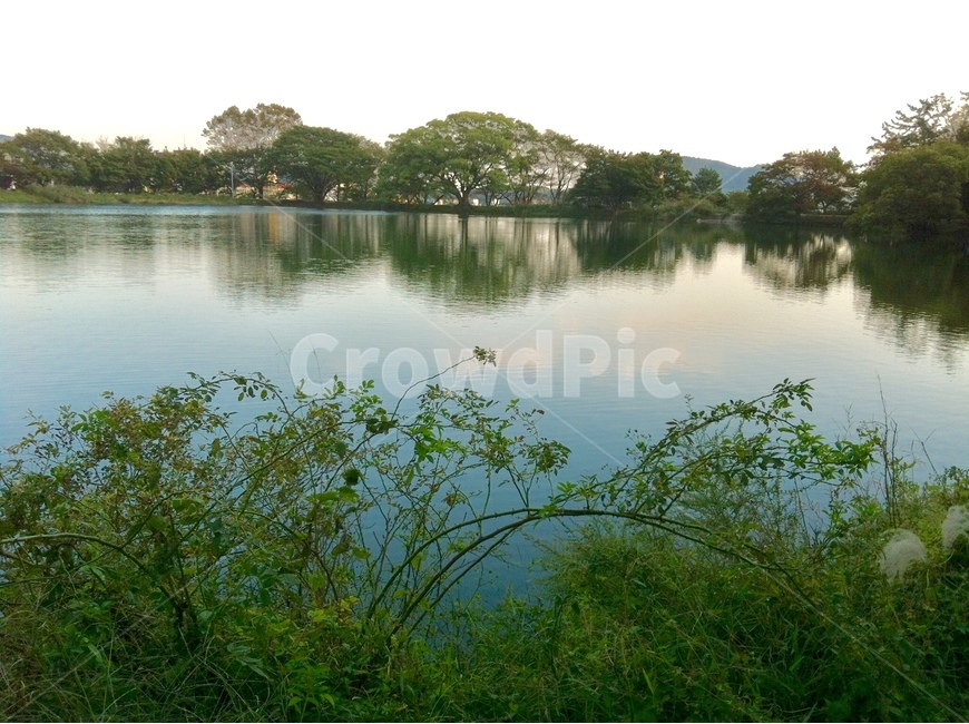 나무,tree,호수,lake,그림자,shadow,석양,sunset,녹색,green,풍경,view,자연,풍경,nature,landscape,water,물,outdoors,옥외