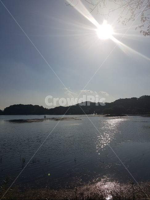 자연,호수,물,저수지,나무,자연,풍경,nature,landscape,flare,플레어,light,빛