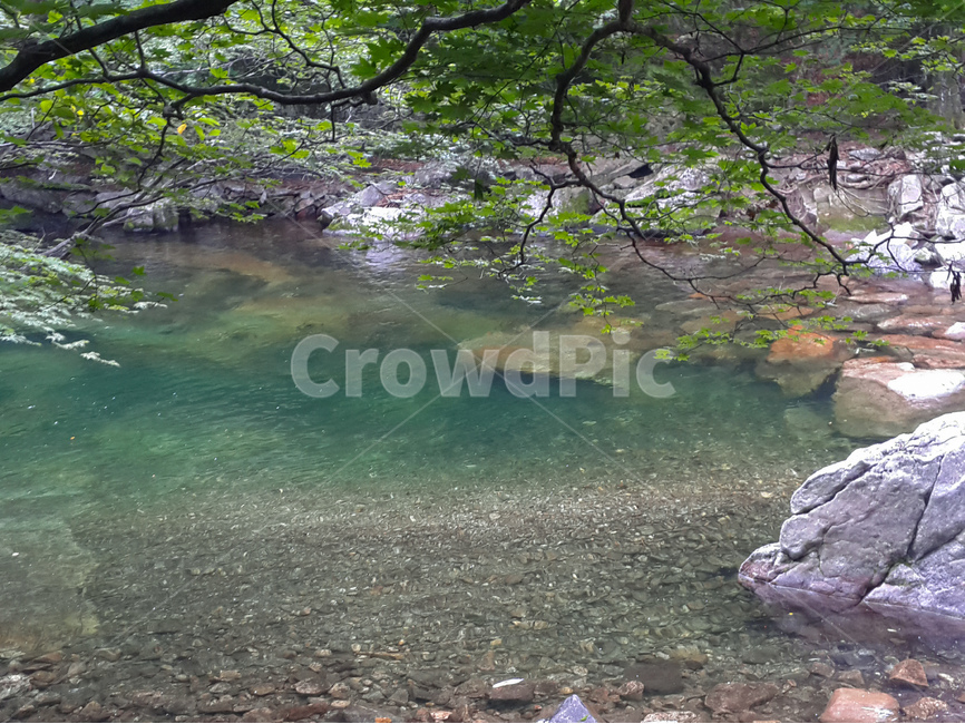 계곡,물,나무,여름,풍경,여름,계절,summer,season,자연,풍경,nature,landscape,water