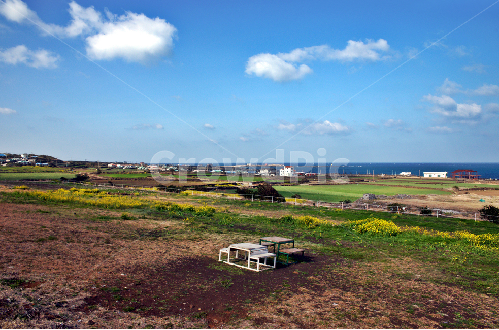 망동산,우도,제주,올레11코스,올레,푸른하늘,밭,자연,자연,풍경,nature,landscape,한국자연풍경,한국자연경관,korea nature landscape,제주도,jeju,jeju island,outdoors,옥외