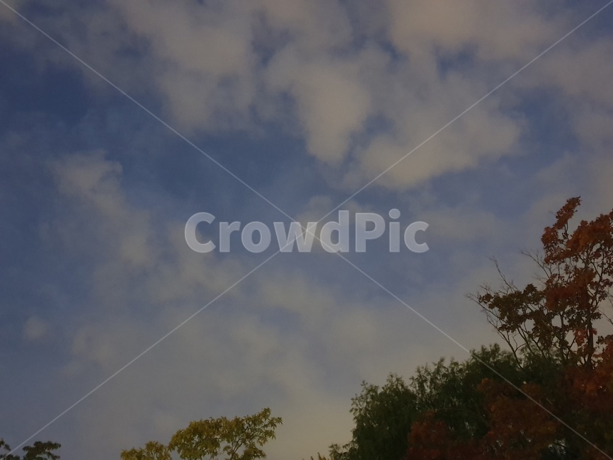 자연,나무,하늘,구름,outdoors,weather,날씨,nature,옥외,명화느낌