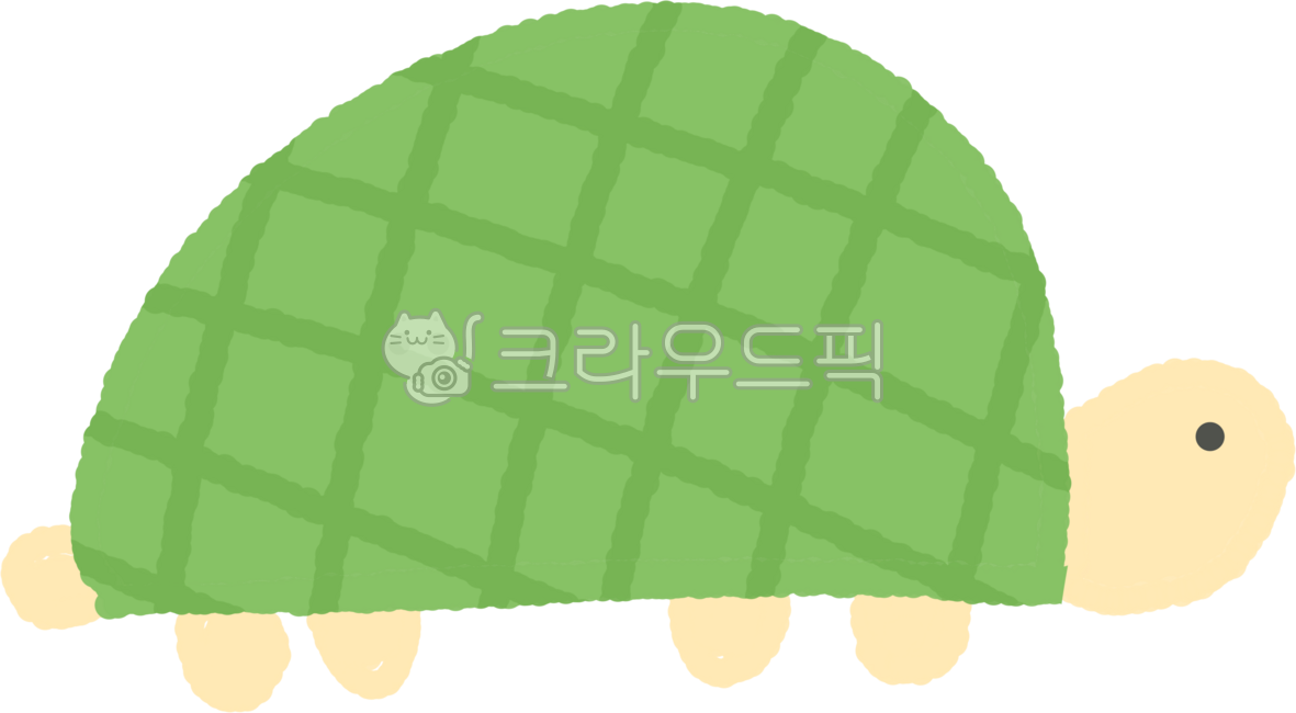 turtle,summer,sea turtle,sea,sea animal,animal,turtle,summer,summer picture,summer illustration