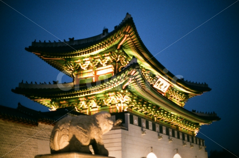 경복궁,광화문,서울,필름사진,필름카메라,야경,밤,풍경,nightscape,night,landscape,랜드마크,landmark,tourist attraction,한국전통,한국문화,korean traditional,korean culture,worship,예배,shrine,신사,pagoda,탑,architecture,건축물,building,건물,mammal,포유류,animal,동물,wildlife,야생 동물,lion,사자