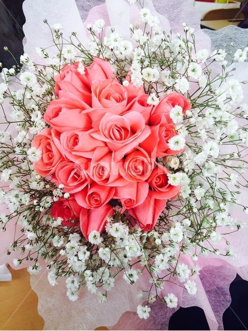 장미꽃,졸업식,안개꽃,꽃다발,축하,사랑,감사,꽃,flower,기념일,축하,anniversary,congratulation,celebrate,celebration