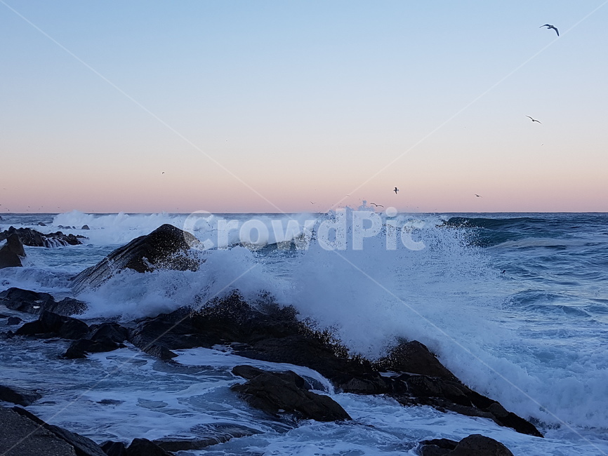 파도,바다,물,자연,wave,sea,water,nature,강릉,강원도,자연,풍경,nature,landscape