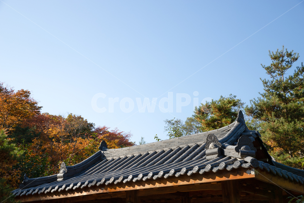 roof,지붕,단풍,기와,건축물,한국전통,한국문화,korean traditional,korean culture,건축물,건물외관,exterior,building,structure,architecture,construction