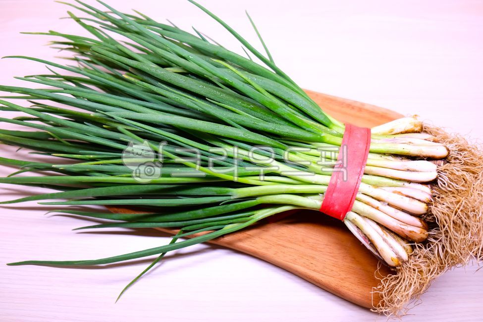 채소, 신선함, 쪽파, 파, chives, 사진,이미지,일러스트,캘리그라피 - Npbd8302작가