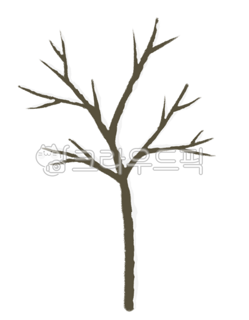 tree branches,winter,snow,tree,winter tree,winter,wintertree,tree,snow