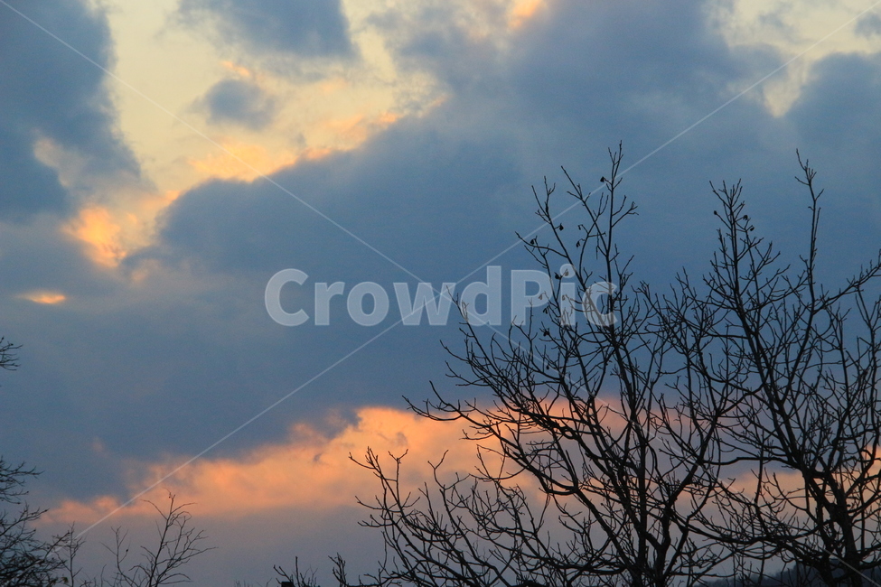 하늘,나무,노을,구름,가을,자연,풍경,nature,landscape,outdoors,옥외,weather,날씨