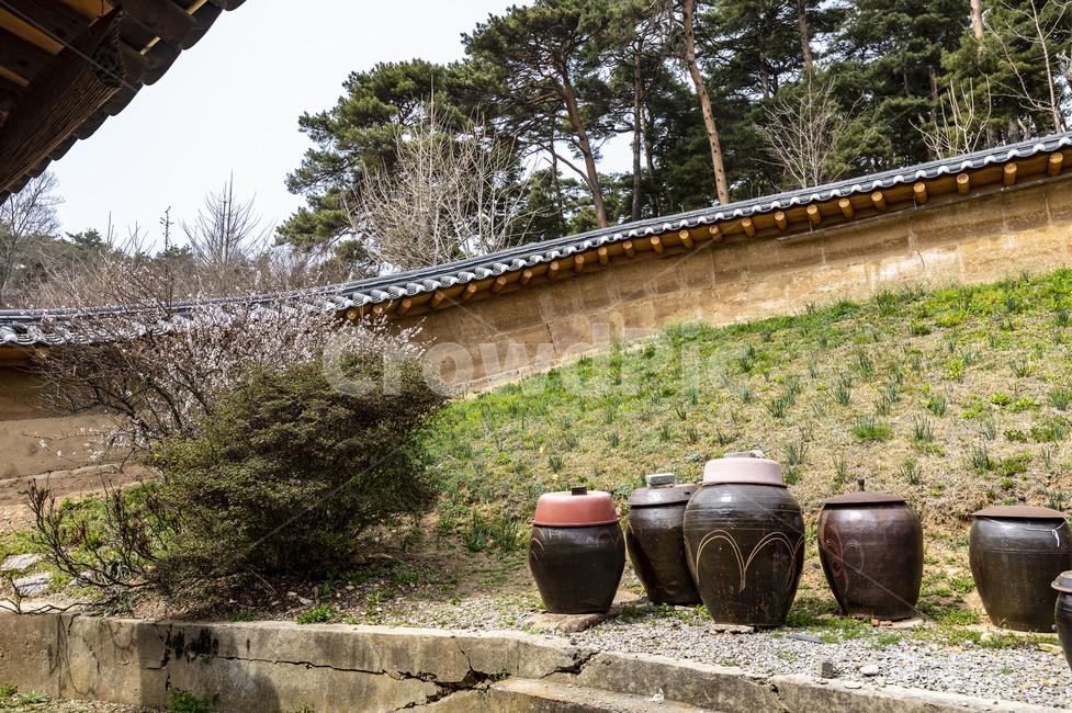 서산유기방가옥,문화재,관광지,장독,전통장독대,전통가옥,전통담장,항아리,명가,옹기,한국전통,한국문화,korean traditional,korean culture