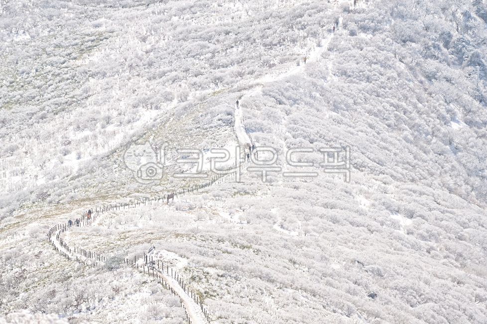 겨울,눈,겨울풍경,덕유산,설경,겨울산,흰눈,자연,풍경,한국,대한민국,상고대,눈꽃,겨울,계절,winter,season
