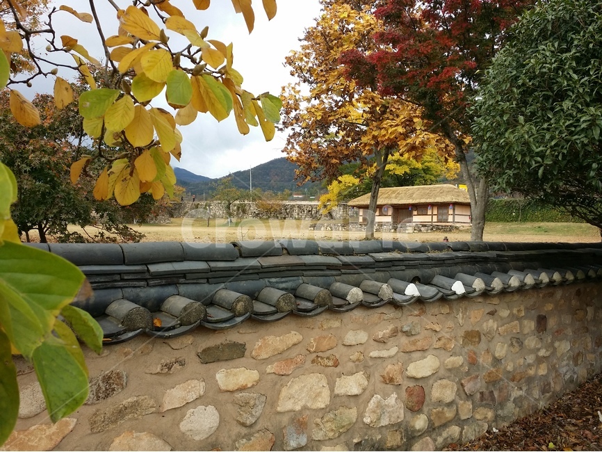 Ginkgo,fallen leaves,thatched house,background,sight,tile,stonewall,Naganeupseong Fortress,autumn,Maple