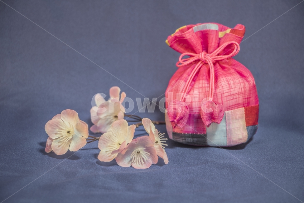 PlanningPhotos,luck,Cherry Blossom,bag,cherryblossoms,inside,branch,theocracy,Concept photo,Shopping,tradition,event,January,shopping,new year,Korea,Lunar New Year,Special photo,luckybag,ribbon,ConceptPhotos,flower,lucky bag,Pop,popup,january,background,T