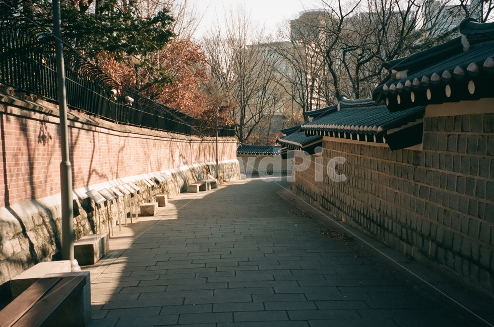 겨울,돌담길,산책,여유,힐링,고즈넉함,조용함,필름사진