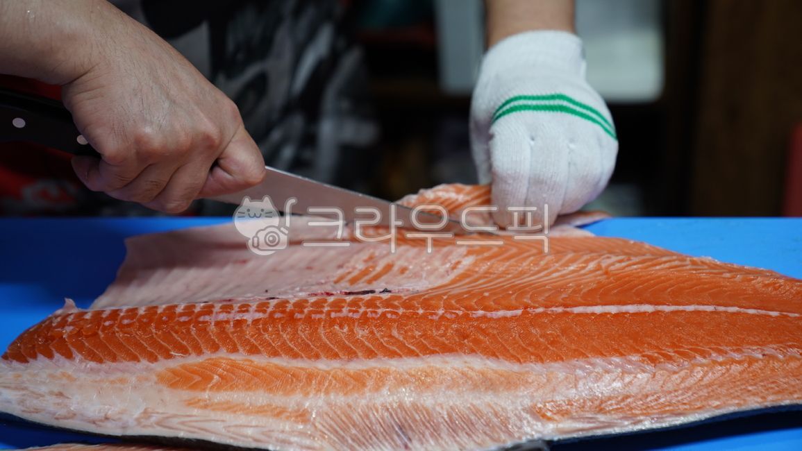 연어,연어사시미,일식,해산물,수산물,연어손질