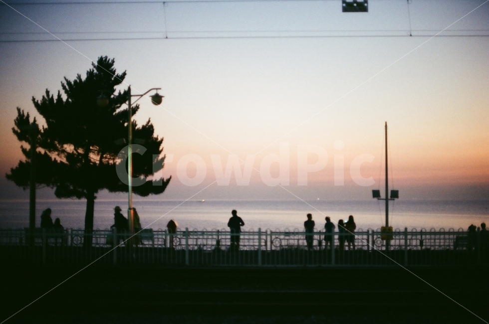 새벽,일출,정동진,필름사진,필름카메라,자연,풍경,nature,landscape,사람,인물,인간,human,person,감성,sensible,feeling
