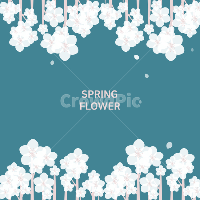 spring,spring flowers,warm,Cherry Blossom,petal,background,festival,sight,season,flower,frame