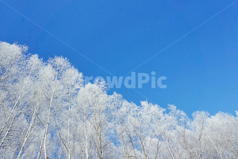 nature,자연,outdoors,옥외,ice,빙,얼음,snow,눈,겨울,계절,winter,season,자연,풍경,nature,landscape