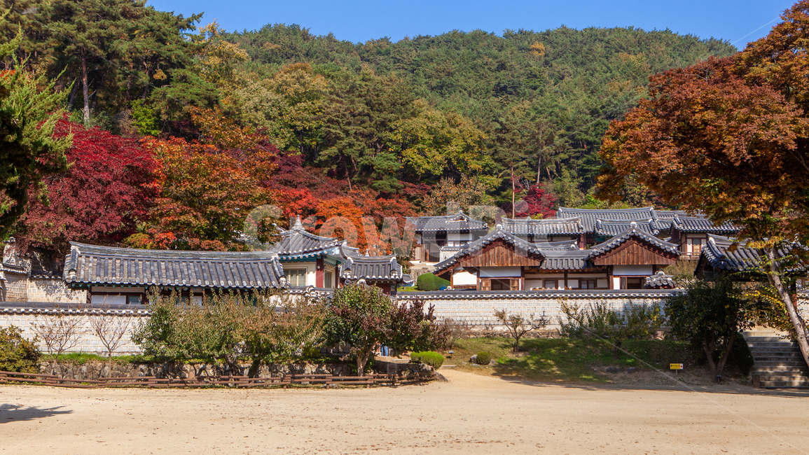 가을,도산서원,단풍,전통적인,고택,서원,서당,단풍길