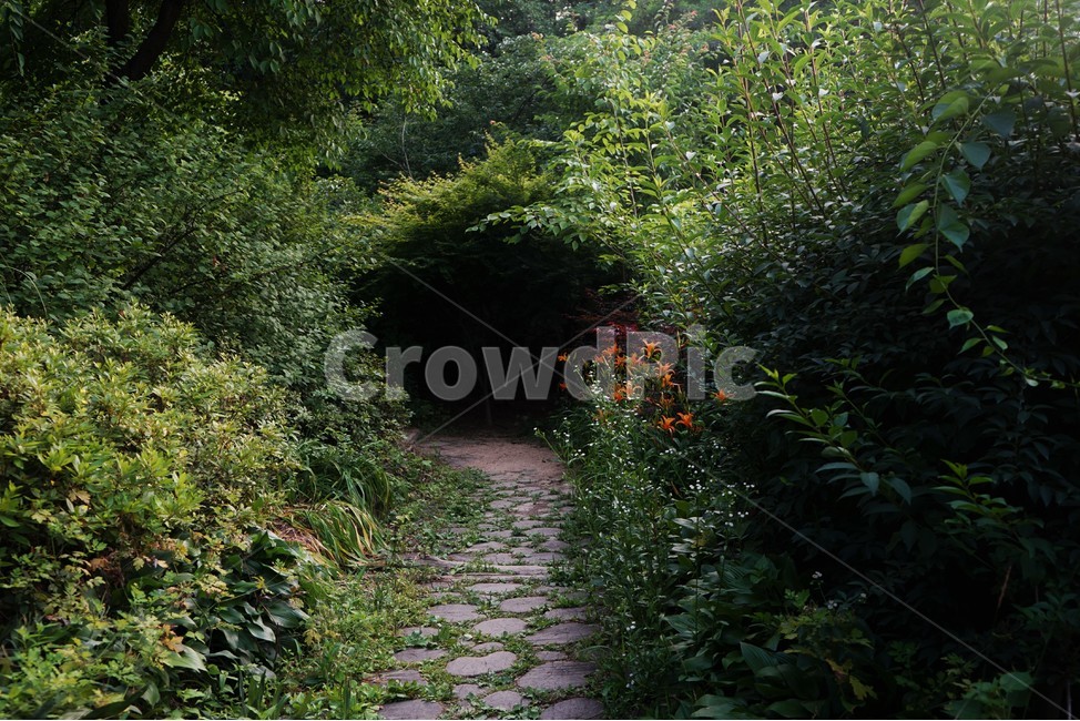 숲,나무,산,꽃,풀,자연,dark,trail,forest,그림자,산길,자연,풍경,nature,landscape,path,통로,walkway,보도,outdoors,옥외,garden,정원,arbour,정자,flagstone,판석
