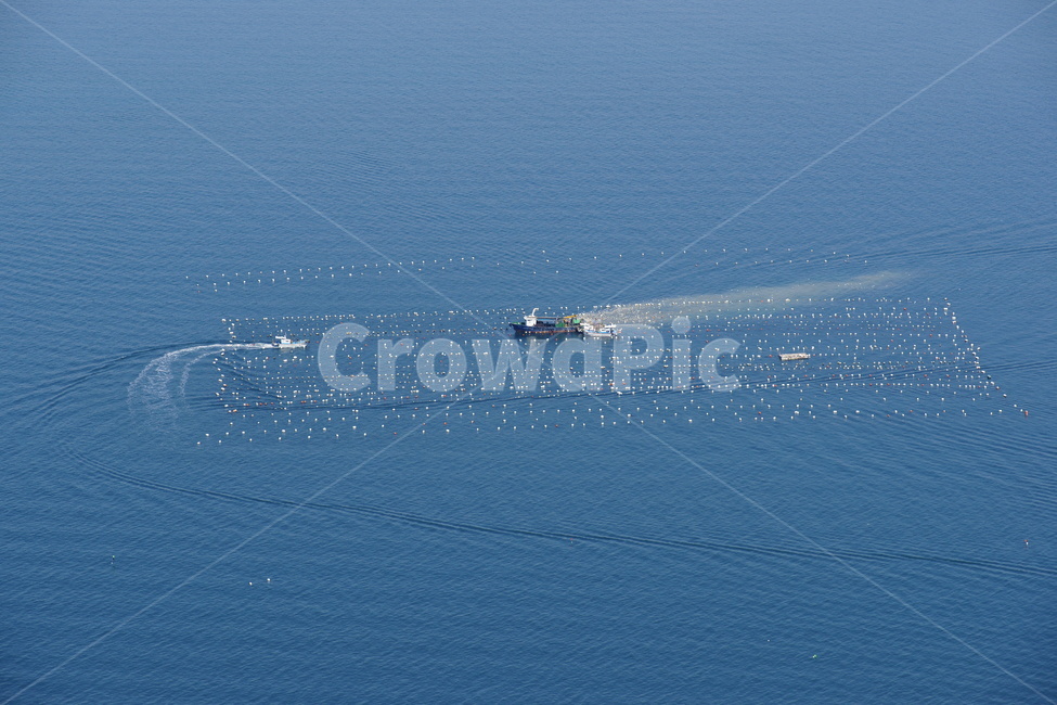 바다,어부,어업,양식장,사량도,산업,industry,industrial,어업,fishery,fishing industry