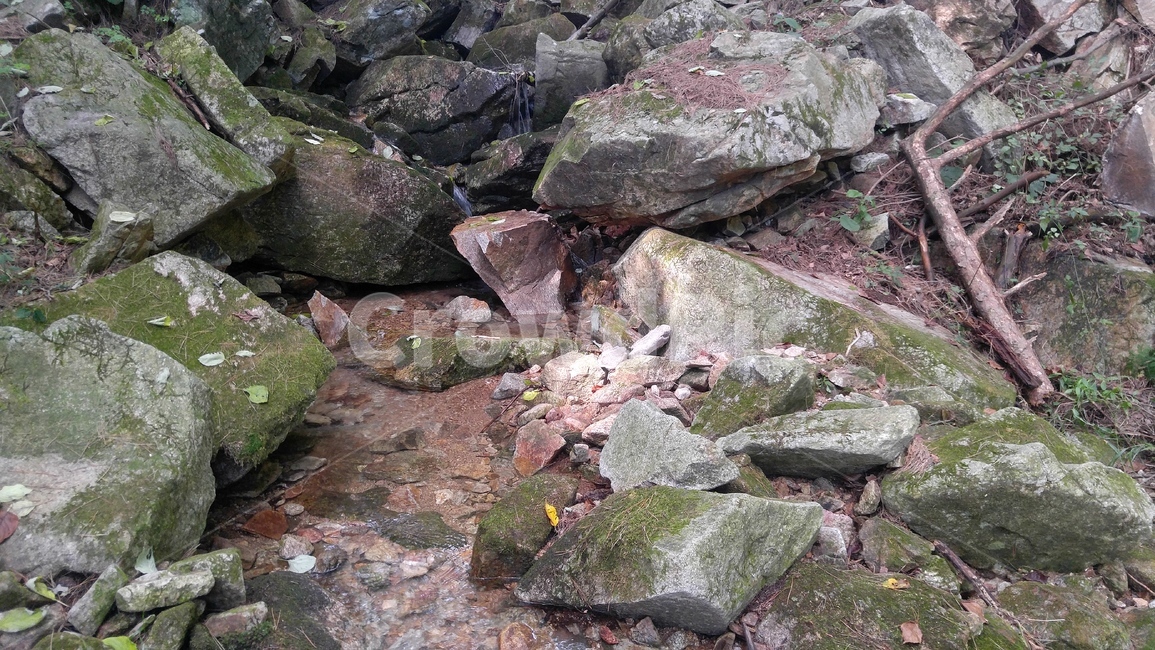 계곡,물,숲,돌,나무,자연,풍경,nature,landscape,rubble,파편,slate,슬레이트