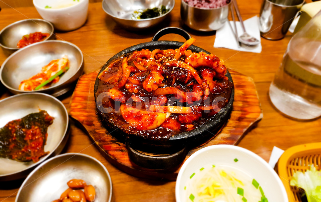 낙지볶음,음식,식당,한식,stirfriedoctopus,koreanfood,음식,식재료,요리,food,cook,meal,dishes,food reserves,한식,한국음식,한국요리,korean food,korean dishes,korean meal,korean cook