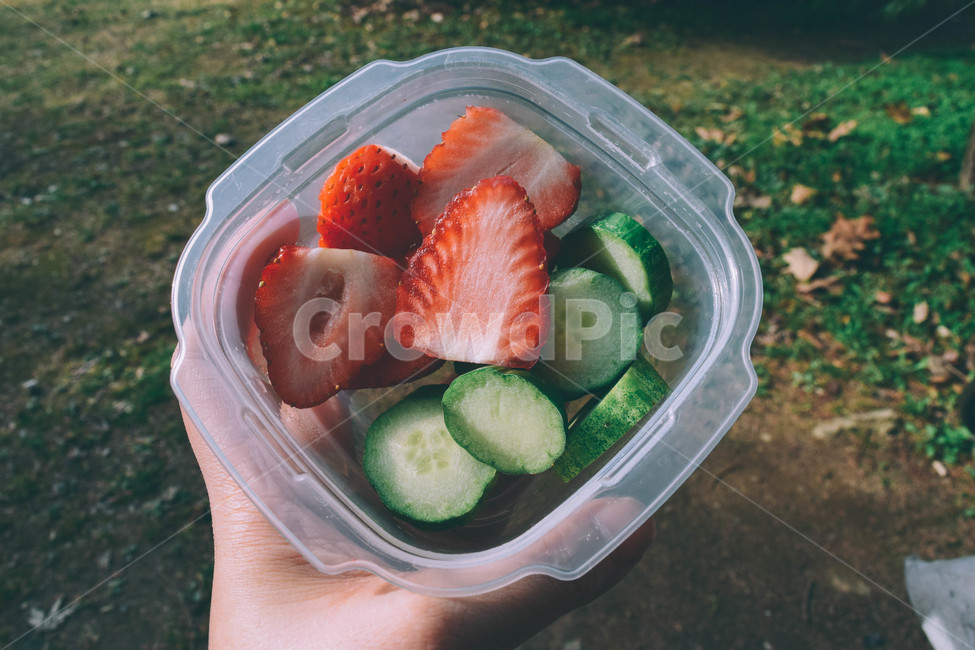 도시락,딸기,오이,피크닉,음식,점심,lunch,건강,건강식,picnic,인천대공원,공원,park,음식,식재료,요리,food,cook,meal,dishes,food reserves,과일,열매,fruit