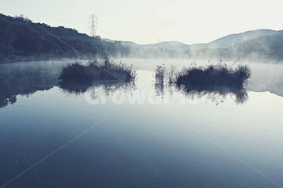 호수,인천대공원,물안개,새벽,아침,풍경,자연,식물,물,자연,풍경,nature,landscape