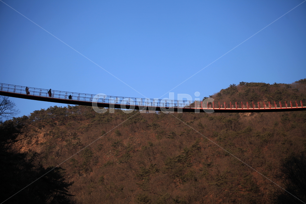 출렁다리,풍경,산,식물,다리,하늘