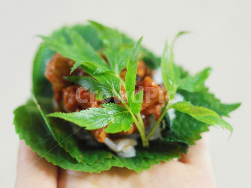 쌈,식사,한끼,밥,깻잎쌈,제육볶음,음식,식재료,요리,food,cook,meal,dishes,food reserves,한식,한국음식,한국요리,korean food,korean dishes,korean meal,korean cook