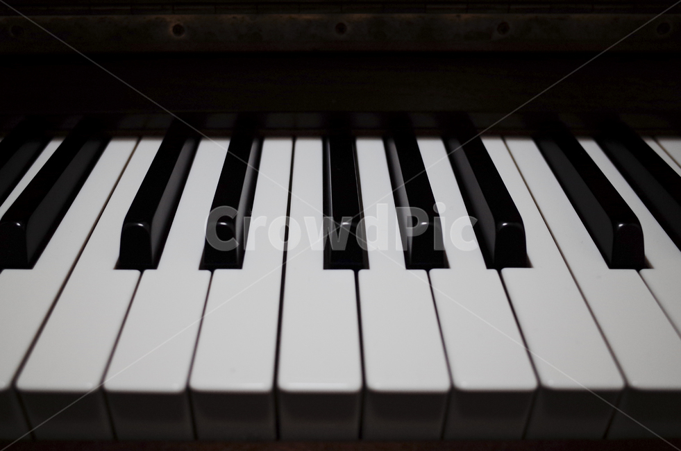 music,악기,음악,piano,피아노,keyboard,키보드,건반,그랜드피아노,grandpiano,흰건반,검은검반,키,악기,음향기기,musical instrument,musical equipment