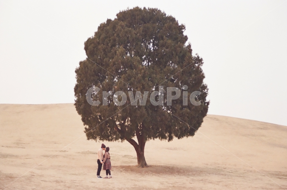 sky,couple,nature,tree,emotion,grass,alone tree,weather,couple photo,emotional photo,landscape,park