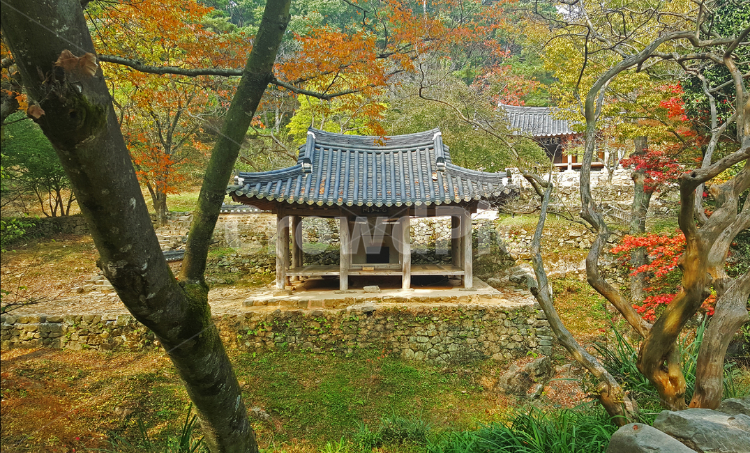소쇄원,광풍각,한옥,정원,나무,풍경,색감,garden,tree,colored,한국전통,한국문화,korean traditional,korean culture,건축물,건물외관,exterior,building,structure,architecture,construction